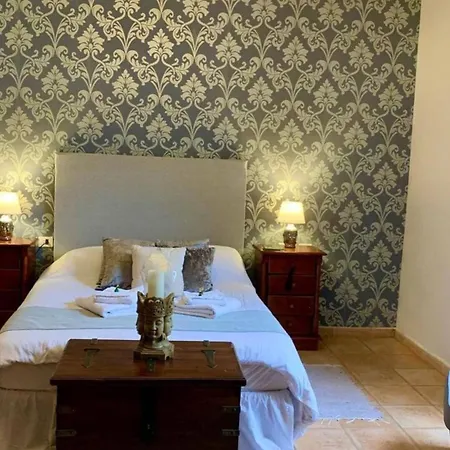 فندق Ziggys Mountain Retreat (adults Only)