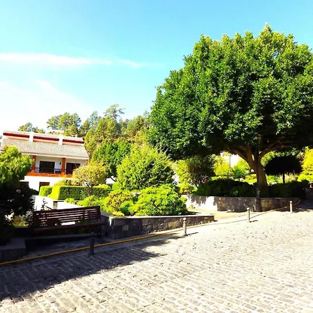 Ziggys Mountain Retreat (adults Only) * فيلافلور