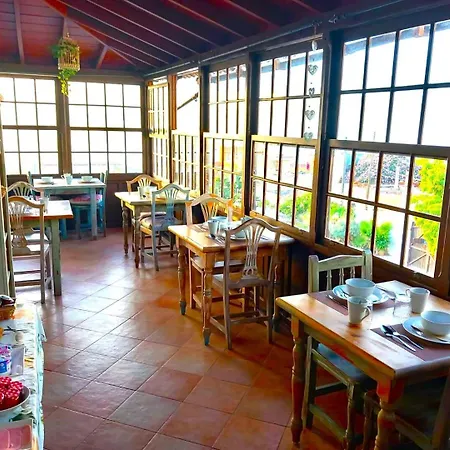 فندق Ziggys Mountain Retreat (adults Only)