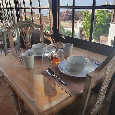 Ziggys Mountain Retreat (adults Only) فندق