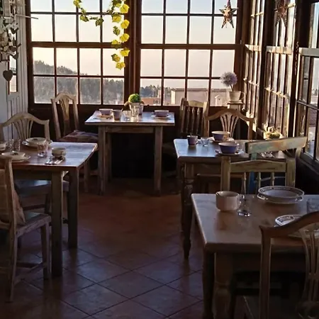 Ziggys Mountain Retreat (adults Only) Отель