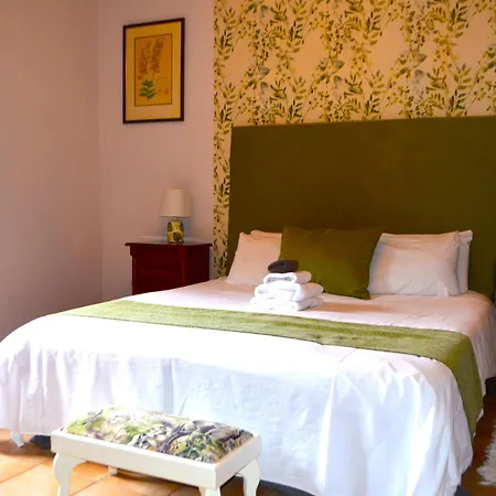 Bed and Breakfast Ziggys Mountain Retreat (adults Only)